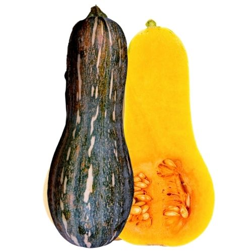 Ahuyama Zapayo /Sakata